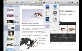 Image 0 for iBooks Author
