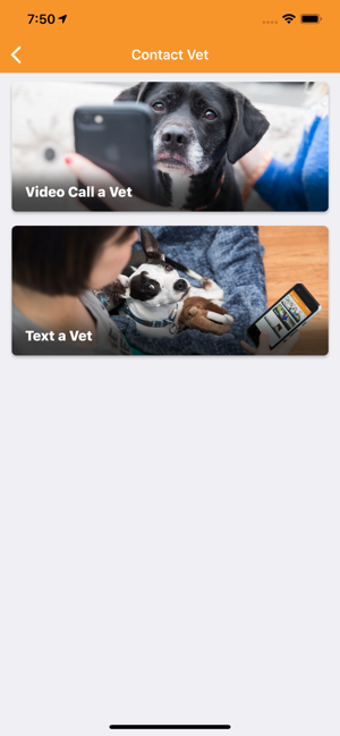 Image 3 for Best Friends Vet Access