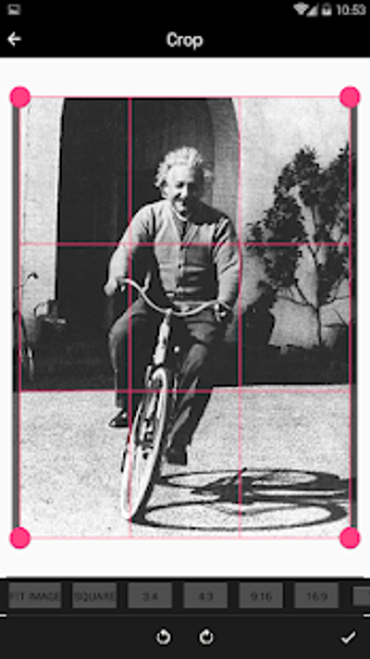 Imagen 2 para Best Albert Einstein Wall…