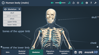 Image 2 for Human body (male) educati…