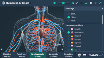 Image 1 for Human body (male) educati…