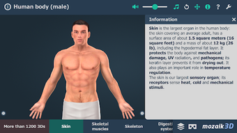 Image 2 for Human body (male) educati…