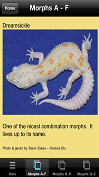 Image 3 for Leopard Gecko Pro 1.0