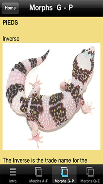 Image 0 for Leopard Gecko Pro 1.0