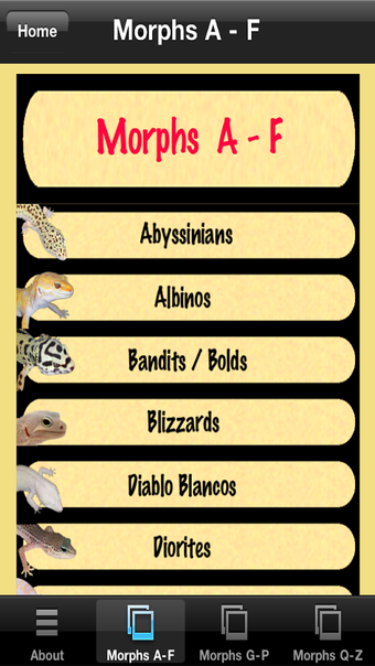 Image 1 for Leopard Gecko Pro 1.0