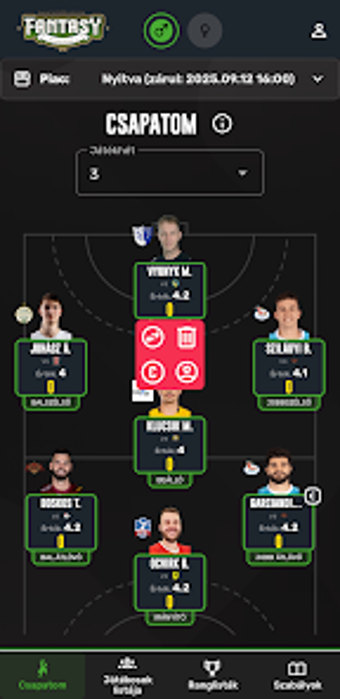 Image 0 for Fantasy Handball