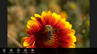 Imagen 1 para Raw Viewer for Windows 10