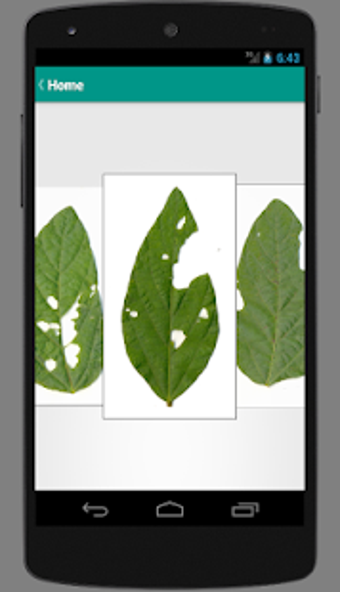 Image 1 for BioLeaf - Foliar Analysis
