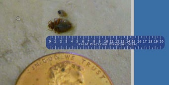 Image 3 for Field Precision Universal…