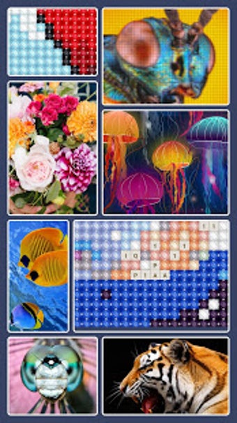 Imagen 2 para Cross Stitch 2018