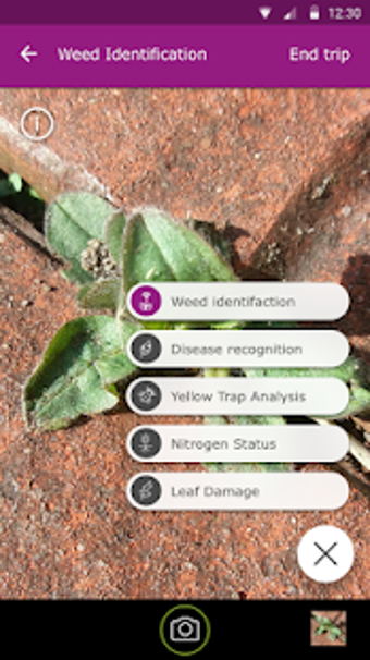 Image 0 for SCOUTING - Automate field…
