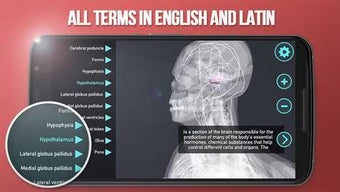 Imagen 1 para Discover Human Body - Ana…