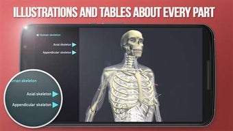 Image 3 for Discover Human Body - Ana…