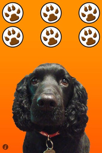 Image 0 for Annoying Dogs