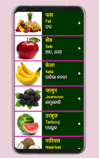 Image 0 for Learn Hindi from Odia (Or…