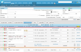 Imagen 0 para Teamwork for Linux