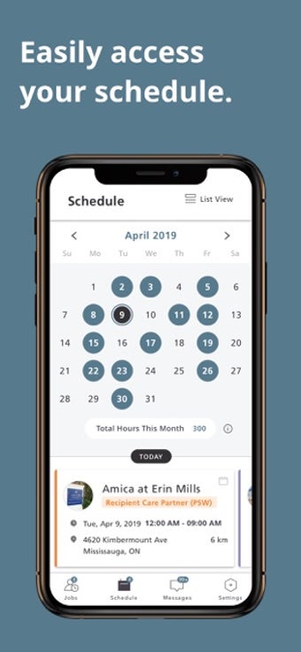 Image 1 for WorkAnywhere Amica