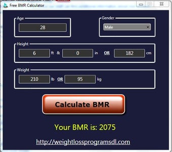 Image 0 for Free BMR Calculator