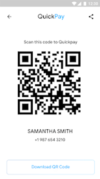 Image 3 for QuickPay - Template