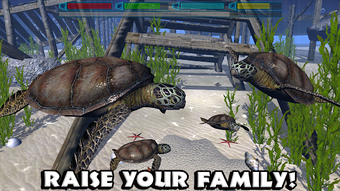 Image 1 for Ultimate Ocean Simulator