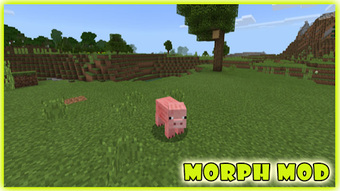 Imagen 2 para Morph Mod Minecraft