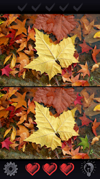 Image 2 for Find 5 Differences 300 le…