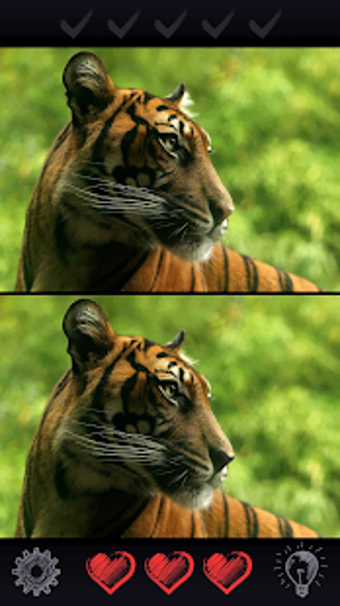 Image 3 for Find 5 Differences 300 le…