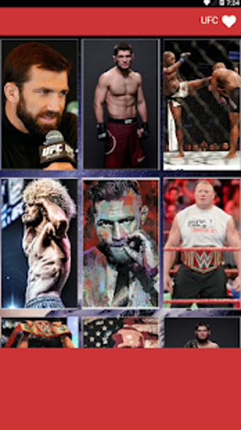 Image 0 for UFC WALLPAPER