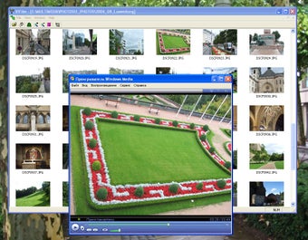 Image 0 for ViFilm
