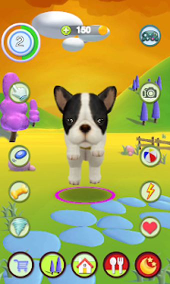 Image 2 for Talking Dog