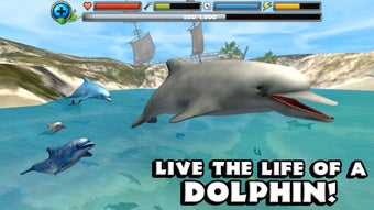 Image 0 for Dolphin Simulator