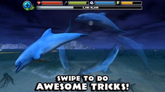 Image 1 for Dolphin Simulator
