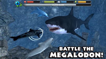 Image 1 for Dolphin Simulator