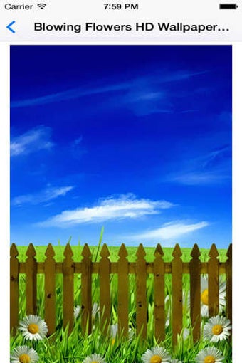 Image 0 for Blowing Flowers HD wallpa…