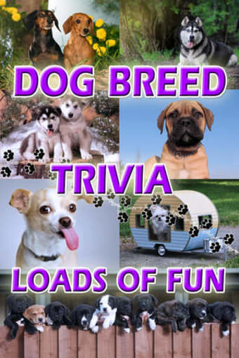 Image 0 for Ace Dog Breed Trivia - Fr…