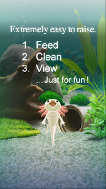Image 1 for Axolotl Pet