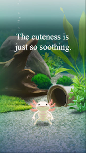 Imagen 2 para Axolotl Pet