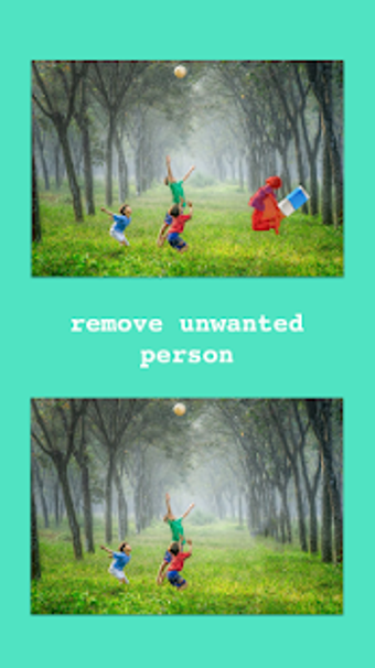 Image 2 for Remove Unwanted Object
