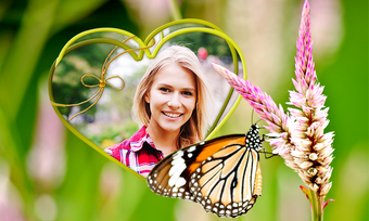 Image 1 for Butterfly Photo Frames