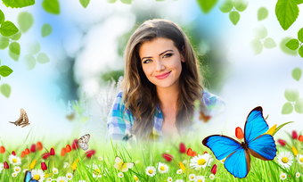 Image 2 for Butterfly Photo Frames