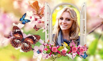 Image 3 for Butterfly Photo Frames