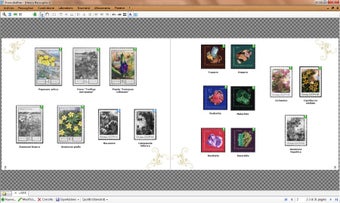 Image 2 for Francobollino