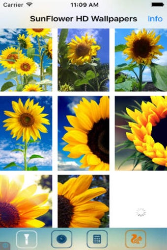Image 0 for Sunflower Wallpapers