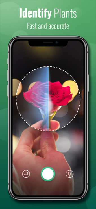 Image 0 for Plant Lens