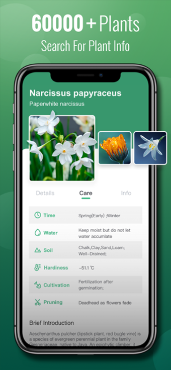 Image 3 for Plant Lens