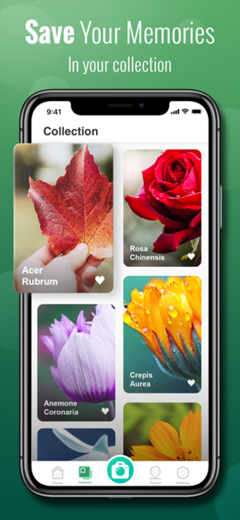 Image 2 for Plant Lens