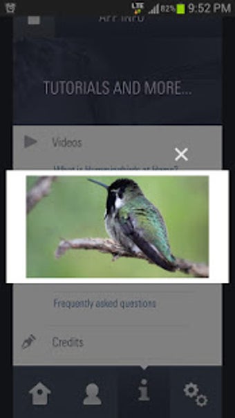 Image 1 for Audubon Hummingbirds At H…