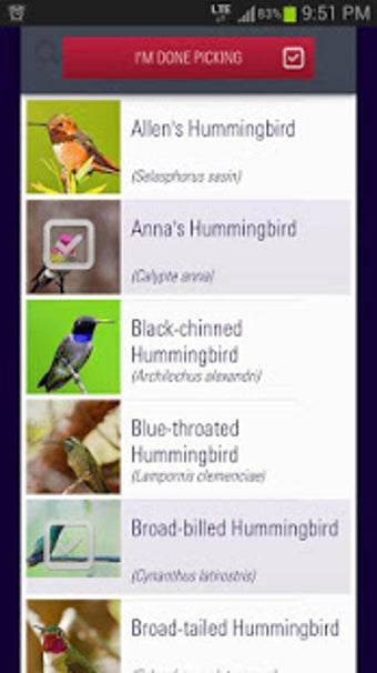 Image 0 for Audubon Hummingbirds At H…