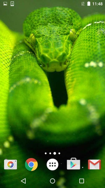 Imagen 1 para Snake Live Wallpaper HD