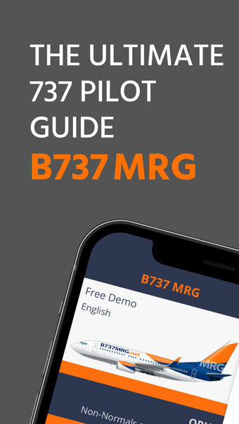 Image 0 for B737 MRG